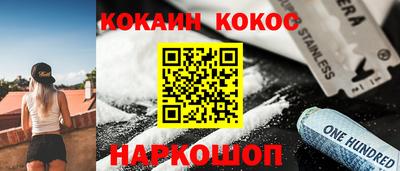 гашик Шелехов