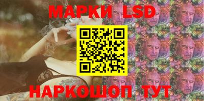 гашик Шелехов